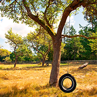 tire swing in orcahrd